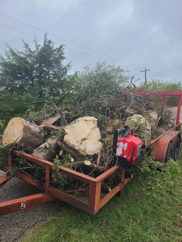 Tree Logs Removal Work Gallery | Lawn M.E. Landscaping — Terrell TX